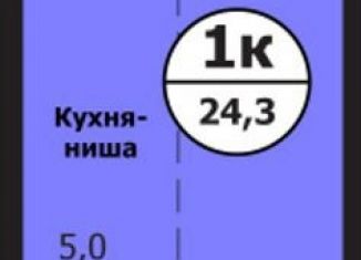 1-комнатная квартира на продажу, 24.3 м2, Красноярск