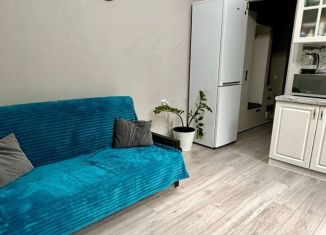 Аренда 1-комнатной квартиры, 28 м2, Сочи, Клубничная улица, 62, микрорайон Новый Сочи