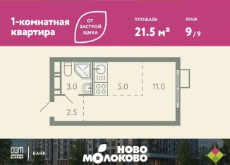 Продается квартира студия, 21.5 м2, село Молоково, жилой комплекс Ново-Молоково, 13