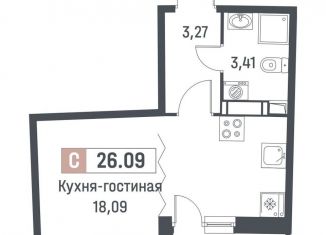 Продается квартира студия, 24.8 м2, Мурино