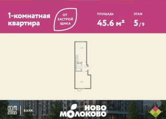 Продается двухкомнатная квартира, 45.6 м2, село Молоково, жилой комплекс Ново-Молоково, 13