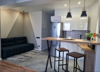 Сдам в аренду однокомнатную квартиру, 45 м2, Сочи, Клубничная улица, 110, микрорайон Новый Сочи