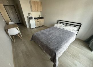 Сдаю в аренду квартиру студию, 25 м2, Пермь, шоссе Космонавтов, 309Ак1