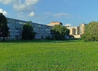 1-ком. квартира в аренду, 30 м2, Великий Новгород, Новолучанская улица, 28