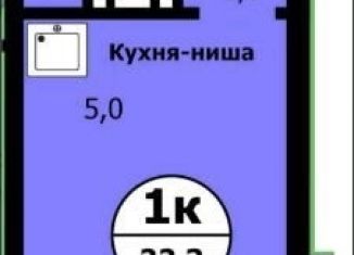 Квартира на продажу студия, 22.3 м2, Красноярский край, улица Лесников, 41Б