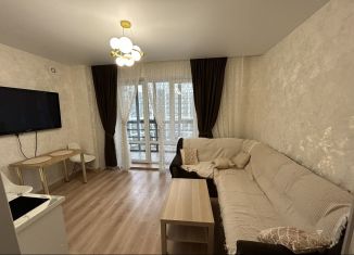 Квартира в аренду студия, 27 м2, Сыктывкар, улица Морозова, 207/1