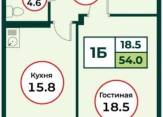 Однокомнатная квартира на продажу, 54 м2, посёлок Солонцы, жилой комплекс Эко, 3