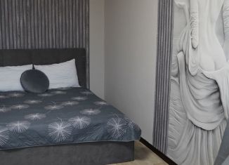 Сдача в аренду 1-комнатной квартиры, 31 м2, Ачинск, 2-й микрорайон, 18