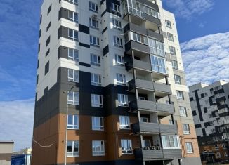 Продам 3-ком. квартиру, 65 м2, деревня Борисовичи, Завеличенская улица, 18