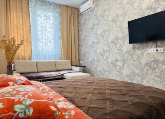 Сдам 2-ком. квартиру, 55 м2, Москва, Родниковая улица, 30к3