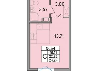 Продается квартира студия, 24.2 м2, Ленинградская область