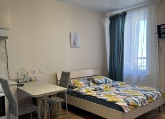 Сдается квартира студия, 30 м2, Барнаул, Балтийская улица, 95