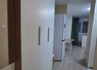 Сдаю в аренду 1-ком. квартиру, 29 м2, Сочи, улица Пирогова, 20, микрорайон Новый Сочи