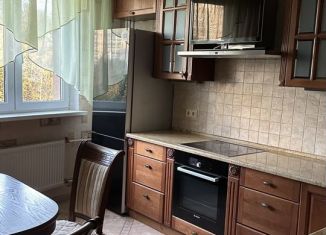 Сдам 1-комнатную квартиру, 51 м2, Санкт-Петербург, Ново-Александровская улица, 14