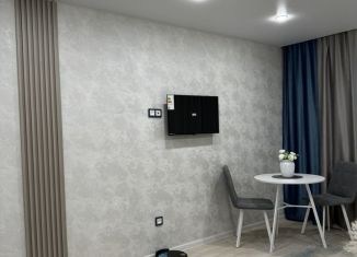 Продам квартиру студию, 19 м2, Татарстан, улица Тургенева, 60