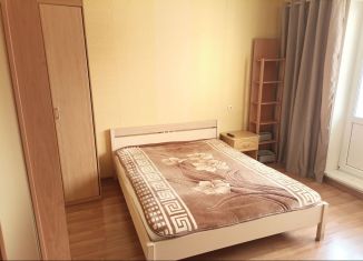 Сдается 1-ком. квартира, 42 м2, Красноярский край, улица Молокова, 10