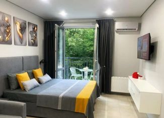 Продаю квартиру студию, 24 м2, Сочи, ЖК Флора, улица Искры, 66/9