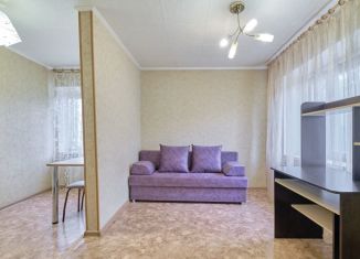 Квартира в аренду студия, 23.3 м2, Томск, улица Мокрушина, 12