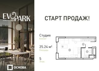 Продается квартира студия, 25.2 м2, Москва, метро Электрозаводская