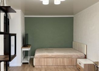 Сдам 1-комнатную квартиру, 30 м2, Ростов-на-Дону, проспект Ленина, 95