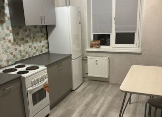 1-ком. квартира в аренду, 42 м2, Пермь, улица Калинина, 50