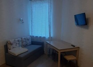 Сдаю 1-комнатную квартиру, 31 м2, Санкт-Петербург, улица Архитектора Белова, 5к1