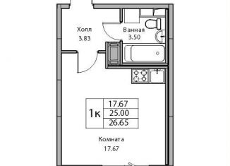 Продажа квартиры студии, 25 м2, Санкт-Петербург, Ивинская улица, 5к1, Приморский район