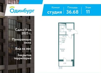 Продается квартира студия, 36.7 м2, Одинцово