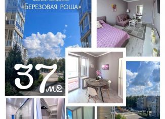 Продам 1-ком. квартиру, 37 м2, Ростов-на-Дону, Усадебная улица, 2А, ЖК Берёзовая роща