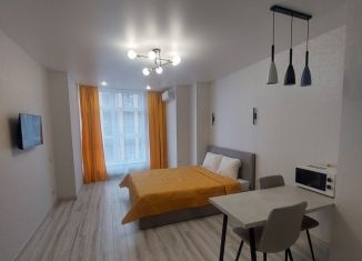 Квартира в аренду студия, 30 м2, Ростов-на-Дону, Кировский район, Красноармейская улица, 157В/83с1