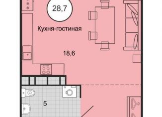 Продажа квартиры студии, 28.7 м2, Ставропольский край, переулок Ландышей, 4