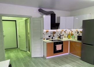 Сдаю в аренду квартиру студию, 28 м2, Тюмень, улица Монтажников, 57, ЖК Видный