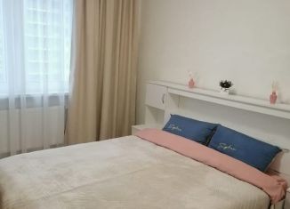 Сдам в аренду 2-ком. квартиру, 55 м2, Санкт-Петербург, улица Дыбенко, 5к6, муниципальный округ № 54