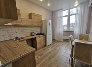 Сдается в аренду 1-ком. квартира, 45 м2, Анапа, улица Ленина