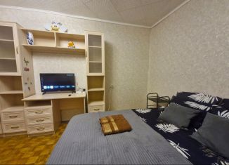 Сдам в аренду 1-ком. квартиру, 35 м2, Пушкино, Набережная улица, 1