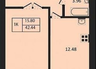 Продажа 1-ком. квартиры, 42.4 м2, Новосибирск