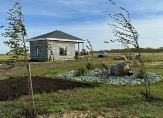 Продам земельный участок, 13 сот., село Старые Камышлы, Центральная улица