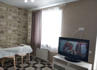 Сдача в аренду 1-ком. квартиры, 46 м2, Казань