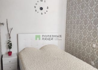 Продается 1-ком. квартира, 40 м2, село Гайдук, Центральная улица, 12