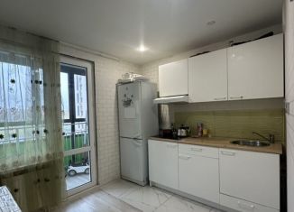 Аренда 2-комнатной квартиры, 48 м2, Казань, улица Александра Курынова, 10к3