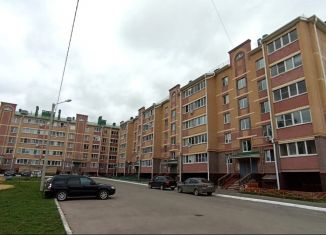 Сдаю в аренду 1-ком. квартиру, 36.4 м2, Марий Эл, улица Шумелёва, 11