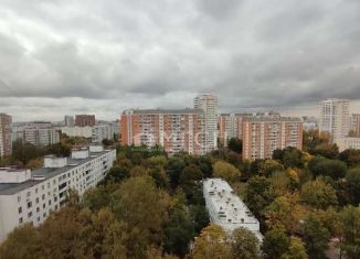 Трехкомнатная квартира на продажу, 76.3 м2, Москва, улица Молодцова, 9