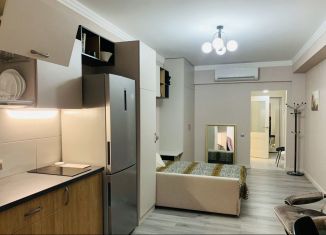 Продам однокомнатную квартиру, 35.4 м2, Сочи, микрорайон Бытха, Коммунальная улица, 41Б