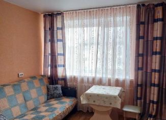 Квартира в аренду студия, 19 м2, Пермь, Торговая улица, 8