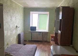 Трехкомнатная квартира в аренду, 65 м2, Пермь, Транспортная улица, 27, Дзержинский район