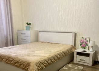 Сдаю в аренду однокомнатную квартиру, 46 м2, Калининград, улица Юрия Гагарина, 55Б