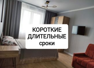 Сдается квартира студия, 30 м2, Липецкая область, улица И.В. Свиридова, 20А