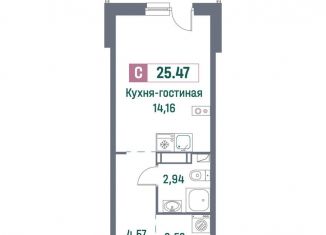 Продажа квартиры студии, 25.5 м2, Мурино, проспект Авиаторов Балтики, 23к3