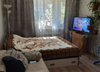 Продажа 1-комнатной квартиры, 31 м2, поселок Красный Сад, улица Мичурина, 17