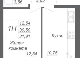 Продажа 1-ком. квартиры, 31.9 м2, деревня Осиново, деревня Осиново, 16